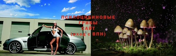 ешки Переславль-Залесский