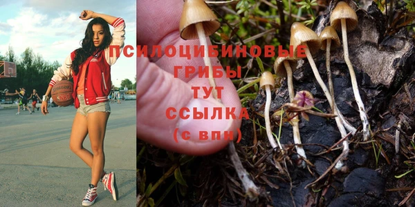 ешки Переславль-Залесский