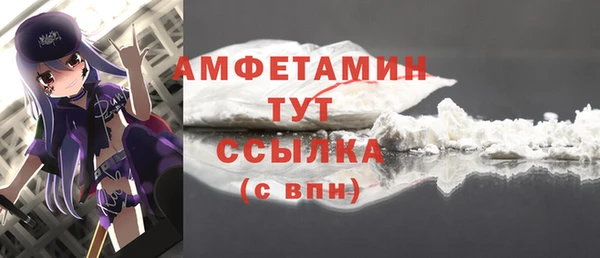 индика Пересвет
