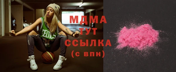 индика Пересвет