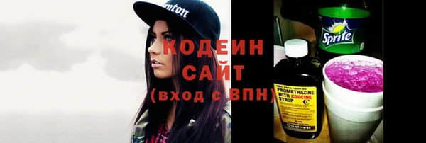 прущий лед Пестово