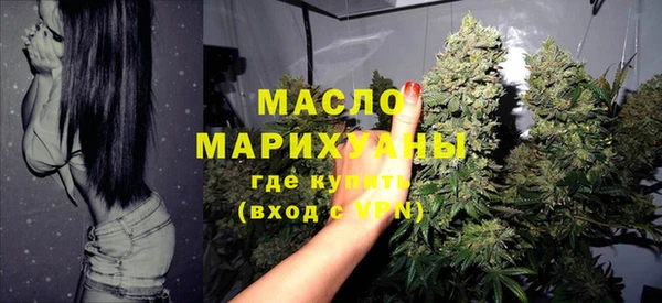 индика Пересвет