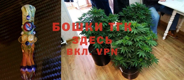 прущий лед Пестово