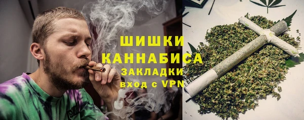 индика Пересвет