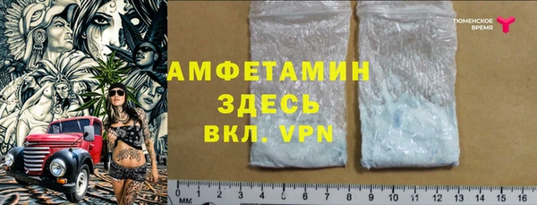 индика Пересвет