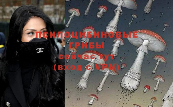 ешки Переславль-Залесский