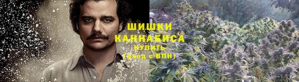 ешки Переславль-Залесский