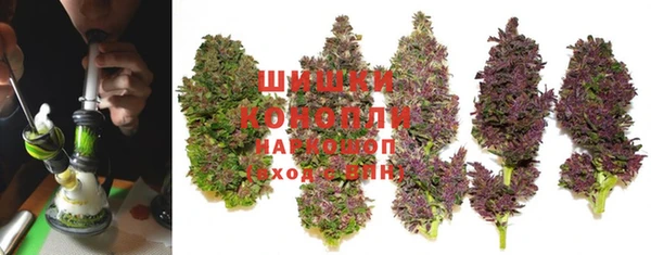 индика Пересвет