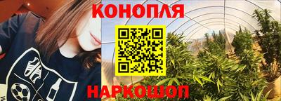мдпв Моздок