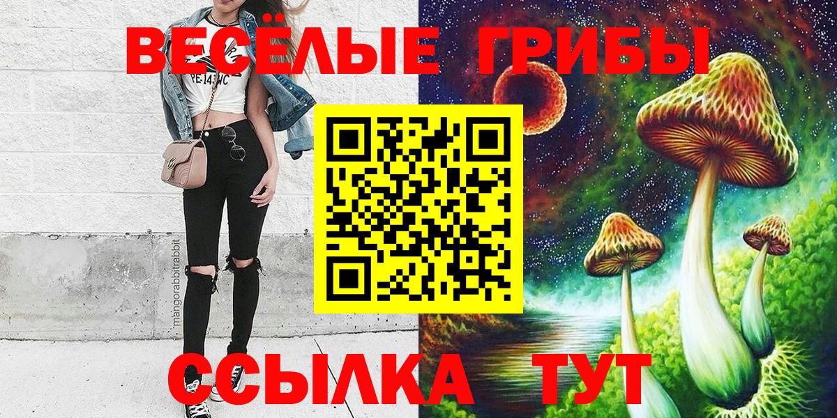 Галлюциногенные грибы Psilocybe Тулун
