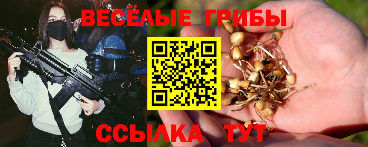 Тулун  закладка  Вход с VPN  Псилоцибиновые грибы Cubensis 