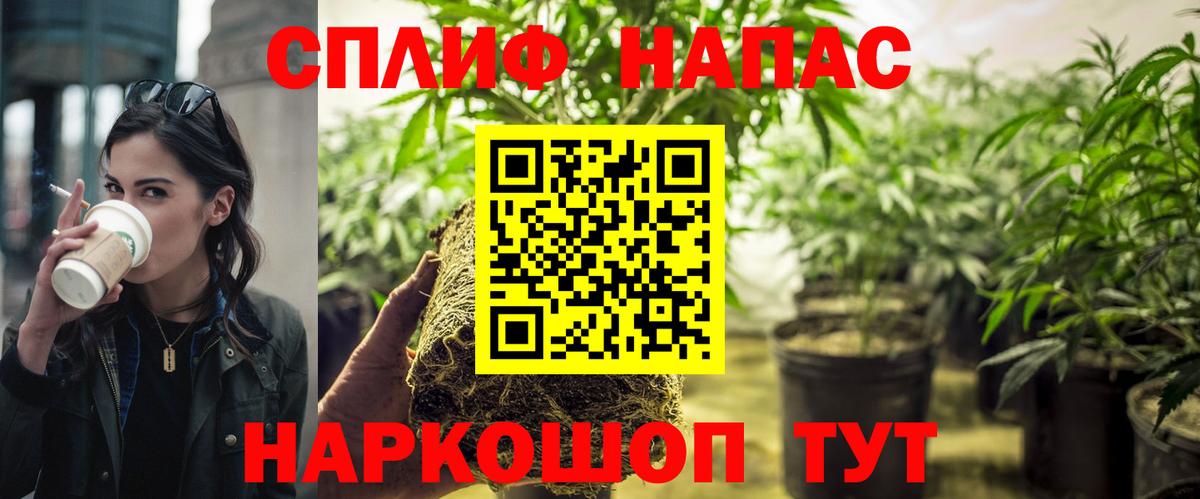 Тулун  Бошки Шишки White Widow  Шишки марихуана тримм  Бошки Шишки ГИДРОПОН  Вход с VPN 